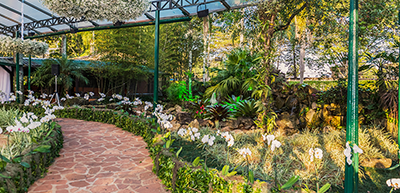Casa da Fazenda Casa da Fazenda